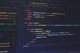 Unleashing the Web: A Journey into the Realm of Web Development