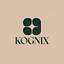 Kognix Kognix