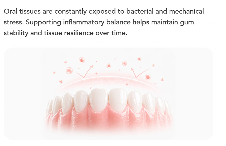Hewelth HealRay Australia System: Usage Guide, Pros, Cons, and Expert Verdict Hewelth HealRay Australia System: Usage Guide, Pros, Cons, and Expert Verdict