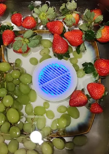 PuriBreeze Produce Cleaner PuriBreeze Produce Cleaner