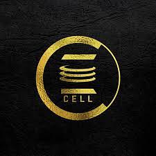 E-Cell SATI