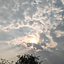 harsh chaturvedi