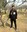 arpit chaubay