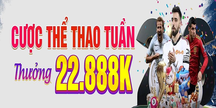 88M 88M