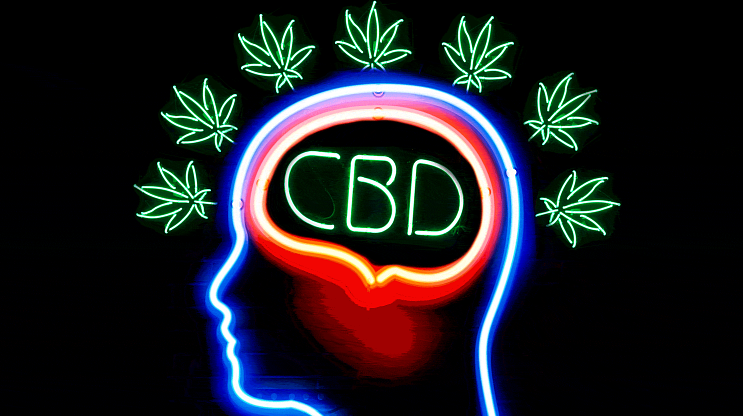 Bliss Roots CBD Gummies: Safe For Pain Relief? Is It Worth It? Bliss Roots CBD Gummies: Safe For Pain Relief? Is It Worth It?