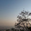 33_Aniket Jagtap