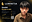 Luminitia founder shadab 