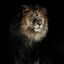Deepanshi yadav