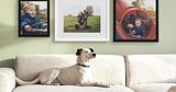 Easy Canvas Prints Review 2026 – Best Custom Photo Canvas Deals Online