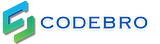 CodeBro Indian Technologies - Digital Solutions