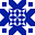 shivangirajpoot1002