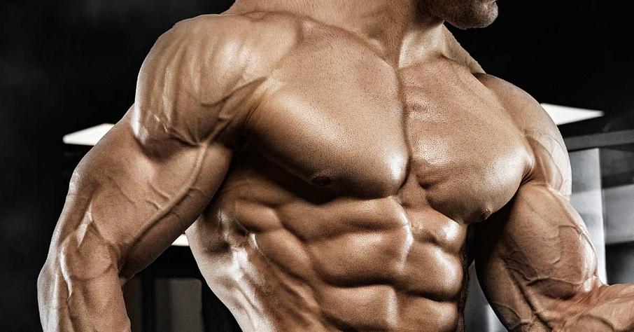 Best Legal Steroids
