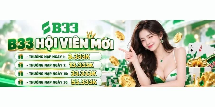 b33 jpnet b33 jpnet