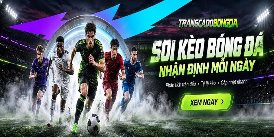 Trang Cá Độ Bóng Đá Trang Cá Độ Bóng Đá