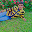 Taslim 