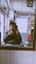 Mayank Aggarwal