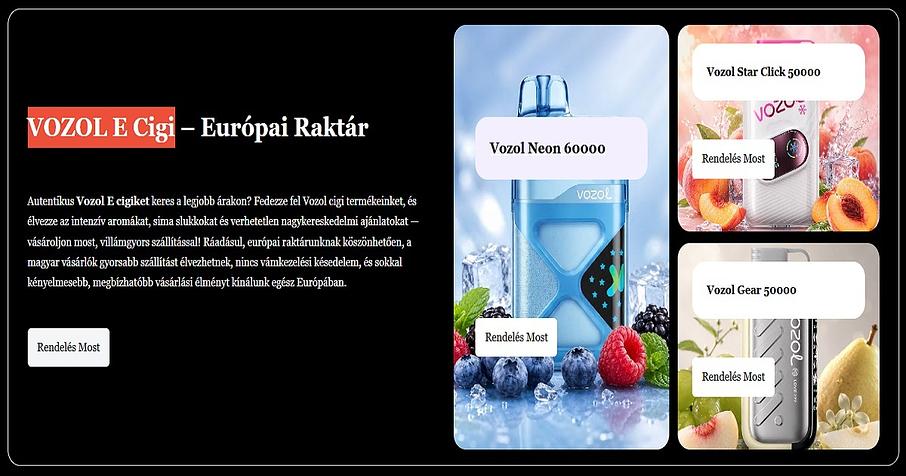 VOZOL E Cigi VOZOL E Cigi