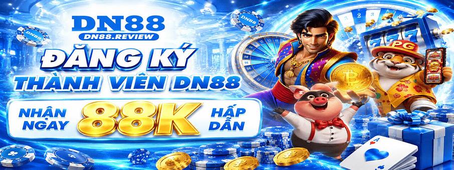 DN88 DN88