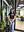 Anshika Barthwal Anshika Barthwal