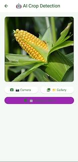 Crop Advisory for Low-Internet Farmers (Offline-First)