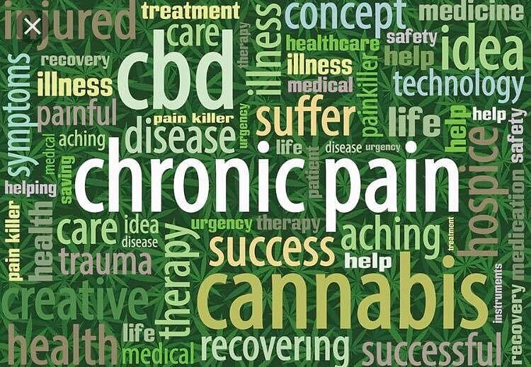 Jenna Bush Hager CBD Gummies™: Consumer Guide to Benefits, Ingredients & Quality Jenna Bush Hager CBD Gummies™: Consumer Guide to Benefits, Ingredients & Quality