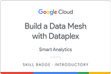 Build a Data Mesh with Dataplex