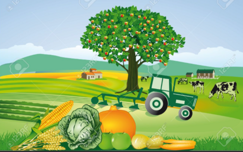 Crop Prediction According to Climate