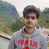 The-Himanshu-Bhardwaj - Overview