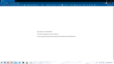 Get your public IP with just 2 lines of code