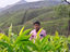 Sathesh Kumar Sathesh Kumar