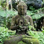 Sandeep Kushwaha
