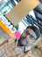 Siva Kumar Koona Siva Kumar Koona