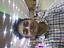 MOHIT CHAUHAN