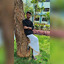praneethreddy sirigireddy