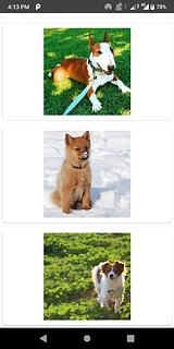 KMM Project with Network Request