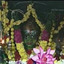SHREE GAYATHRI DEVI TY 034