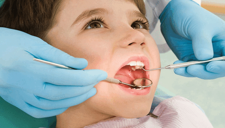 Terry Orthodontist Terry Orthodontist