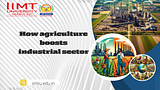 Agriculture Boosts the Industrial Sector: Economic growth - IIMT University Official Blog - Explore more!