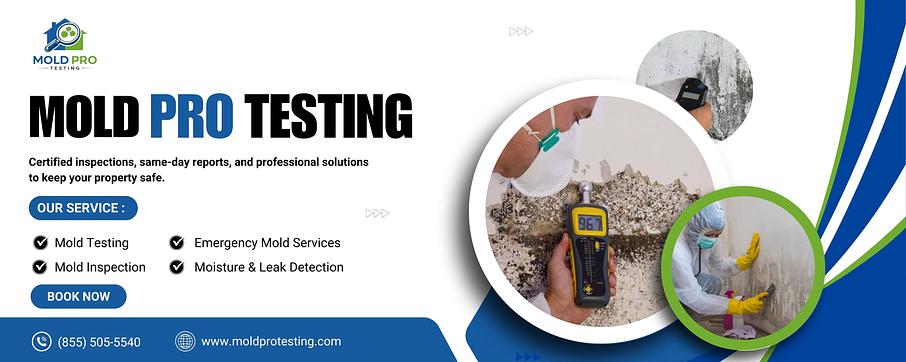 Mold Pro Testing Mold Pro Testing