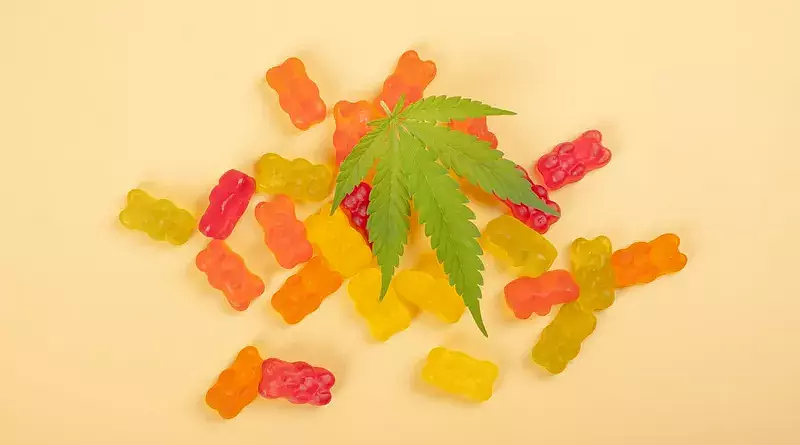 Forest Mountain Farms CBD Gummies
