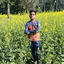 VISHU VAISHNAV