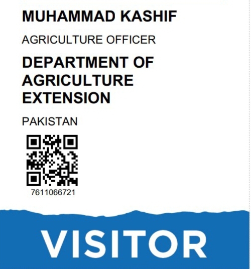 Muhammad Kashif Muhammad Kashif