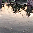 Saraswati jaysawal 