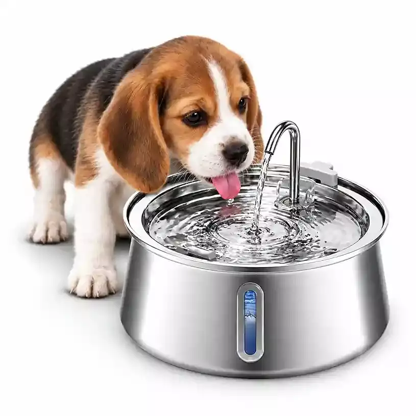 FounTail Fresh Water Dog Bowl FounTail Fresh Water Dog Bowl