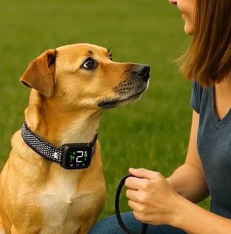 I Tried NooBark™ Anti-Bark Collar USA for 30 Days – Here’s My Honest Review I Tried NooBark™ Anti-Bark Collar USA for 30 Days – Here’s My Honest Review