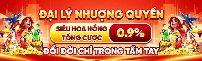 H19 H19