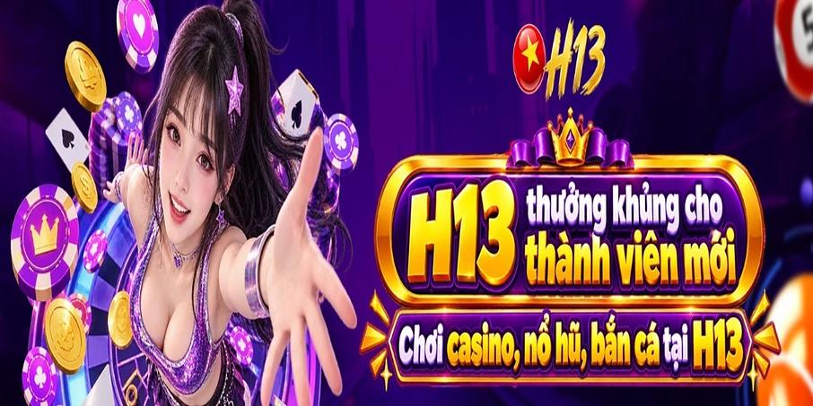 H13